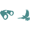 Minimalist Bird Watching Silhouette