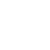 Parti