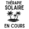 Therapie Solaire en Cours Palmier