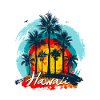 Palm Sunset Hawaii Splash
