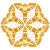 Papillons Mandala dorés – Insectes