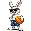 Hase Beach-Vibes mit Ball