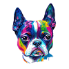 Farbenfrohes Boston-Terrier-Ölfarbe-Hundeporträt