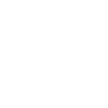 Puzzler
