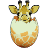 Giraffe Hatch