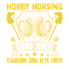 Bier Pferd Hobby Horsing