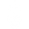 Flaming Skull Silhouette Gamer Icon