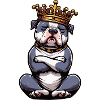 American Bully Bully Pit Bullys Bullybesitzer 