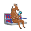 Pony with headphones on smartphone
