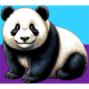 panda