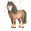Pferd mit Sternen