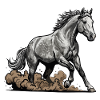 Cheval Gris Pommelé Galop Rodéo Équestre