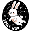 Space Hop