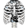 Biomech Ribcage Engine Car Mechanic