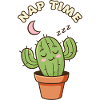 Sleepy Cactus