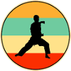 Retro Karate Silhouette Martial Arts Sunset