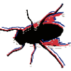 Fliege fischen No. 5