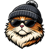 Katzencoolness mit Mütze & Sonnenbrille