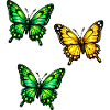 Butterflies Neon