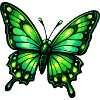 Papillon Vert