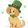 Lucky Irish Puppy