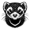 Ferret