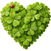 Heart of shamrocks with ladybug