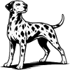 Dalmatian silhouette black and white