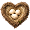 Heart-shaped bird's nest with eggs
