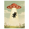Cat, UFO, Abduction, Aliens, Extraterrestrials