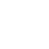 Taranis Wheel 