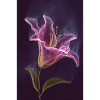 Neon Lily Glow in Violet Night