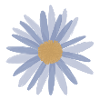 T-shirt Blue Daisy Bloom