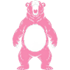 Pink Bear Roars With White Belly