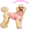 Lieblingsfreund Königspudel im rosa Pullover