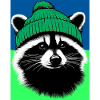 Raccoon