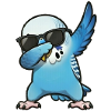 Dabbing Budgie Blue