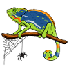 Chameleon On Branch with Spider Web