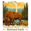 Yellowstone National Park Buffalo Camping