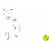 Arbeitslinie statt Sofa | Border Collie