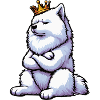Samoyed Samoyed Owner Samoyed Lovers