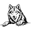 Wolf with paws