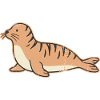 Coastal Seal Illustration