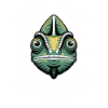 Chameleon Sayings Funny Chameleons Gift