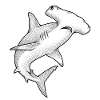 Hammerhead Shark Dot Illustration