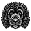 Goldendoodle Dog Head