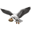 Funny Seagull Steals Fish Rolls Beach