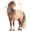Pferd Sterne