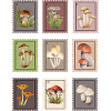 Conception des champignons