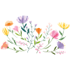 Blumen  Gartenzauber